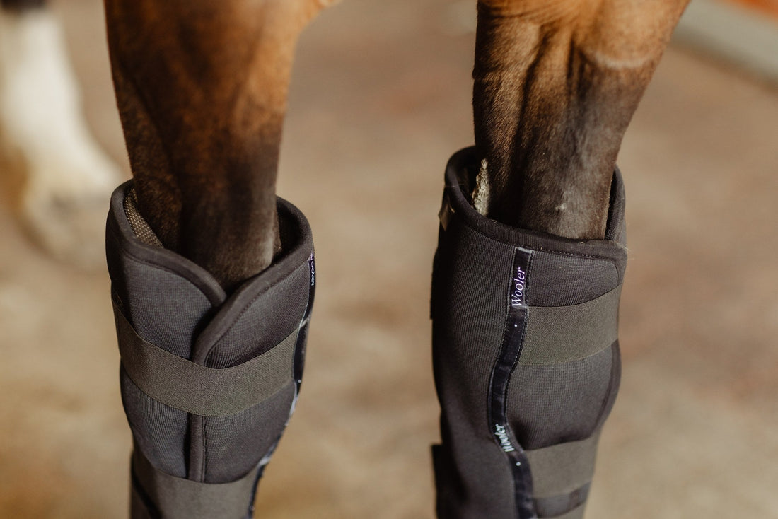 Wooler-tuotteet nyt VILLAgen verkkokaupasta!