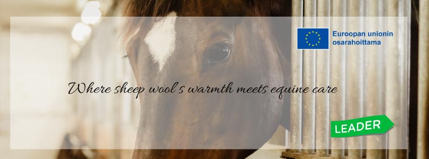 Hankerahoitusta Woolcare Oy:lle