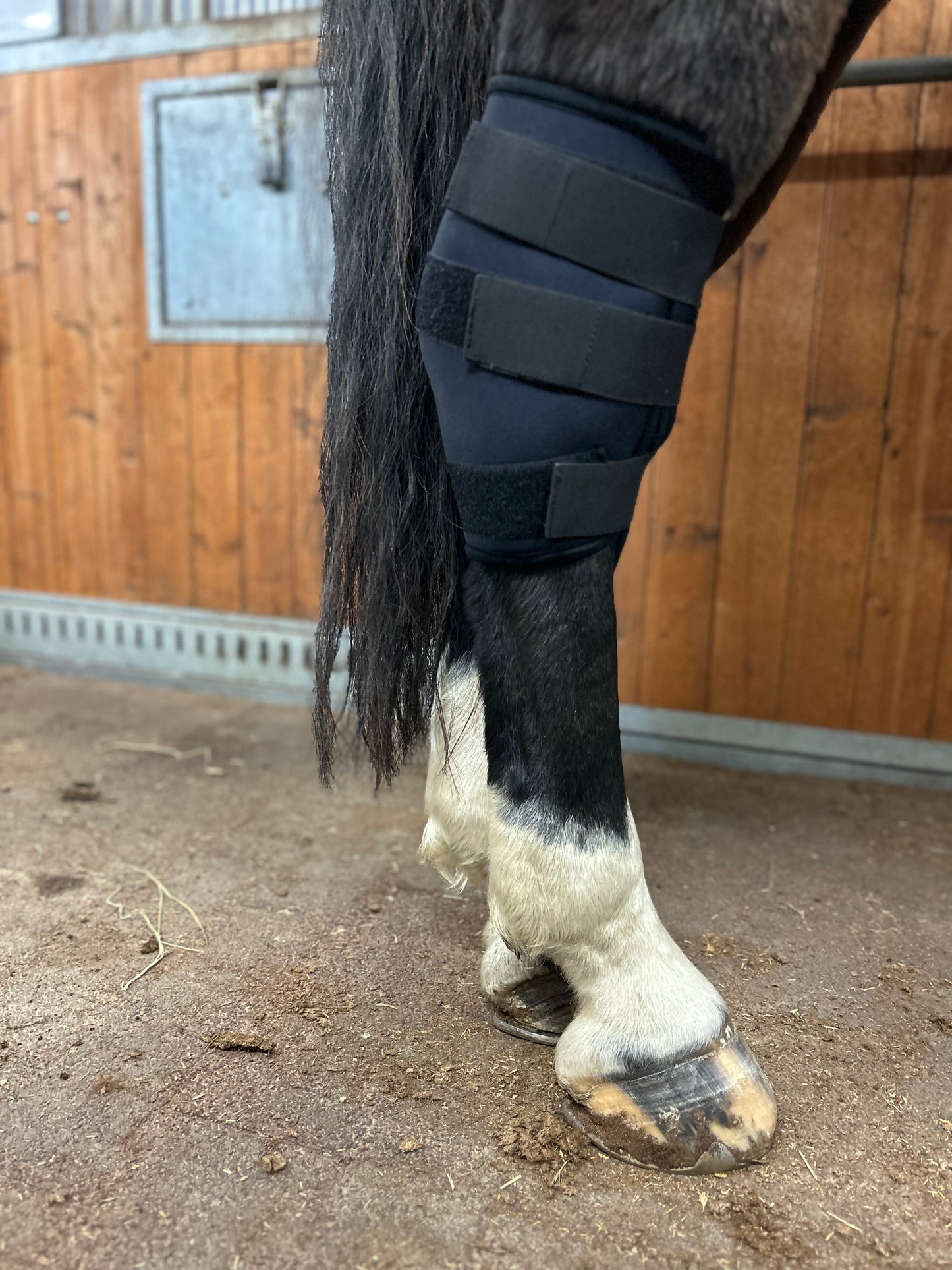 Wooler Hock protector