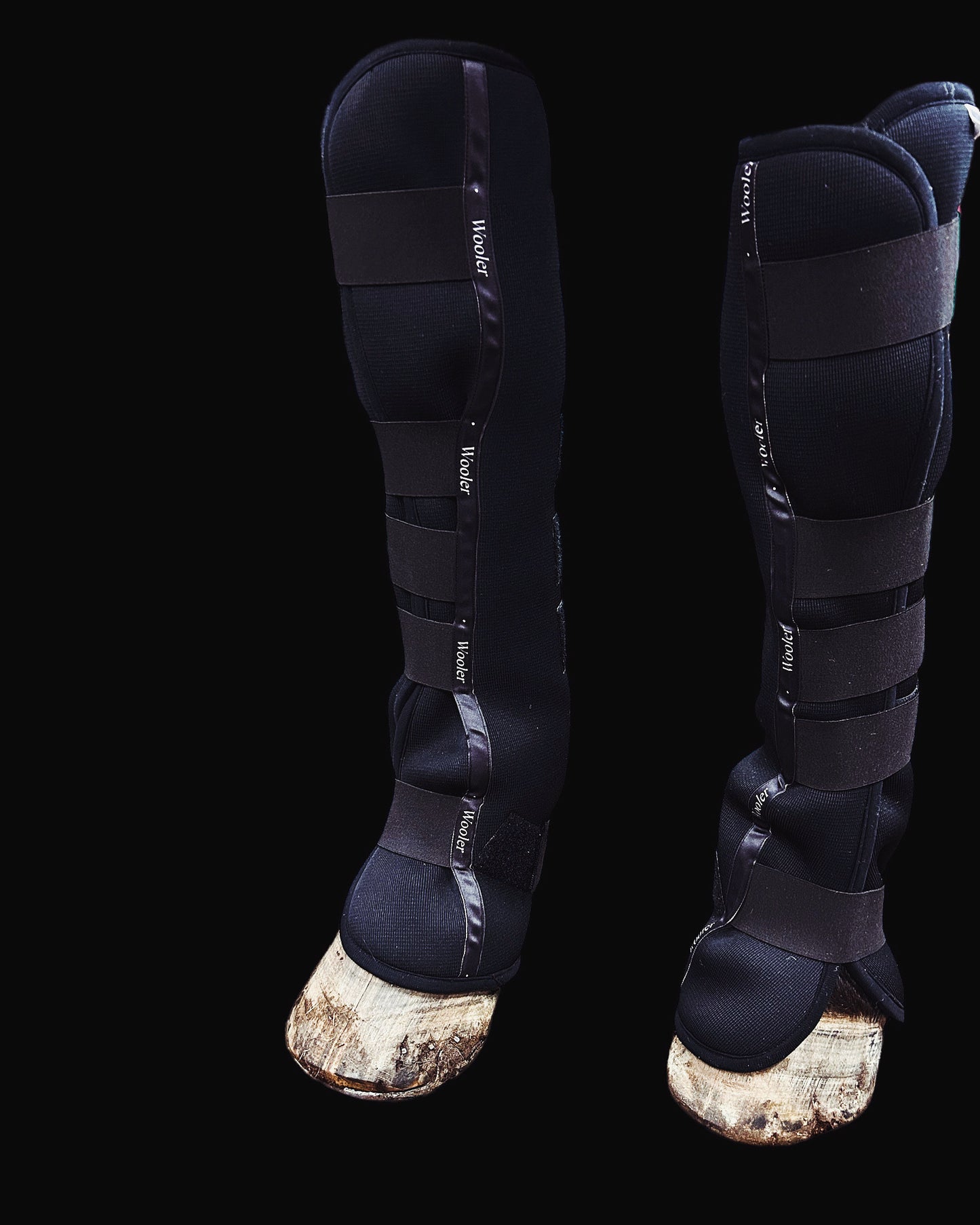 Wooler long stable boots