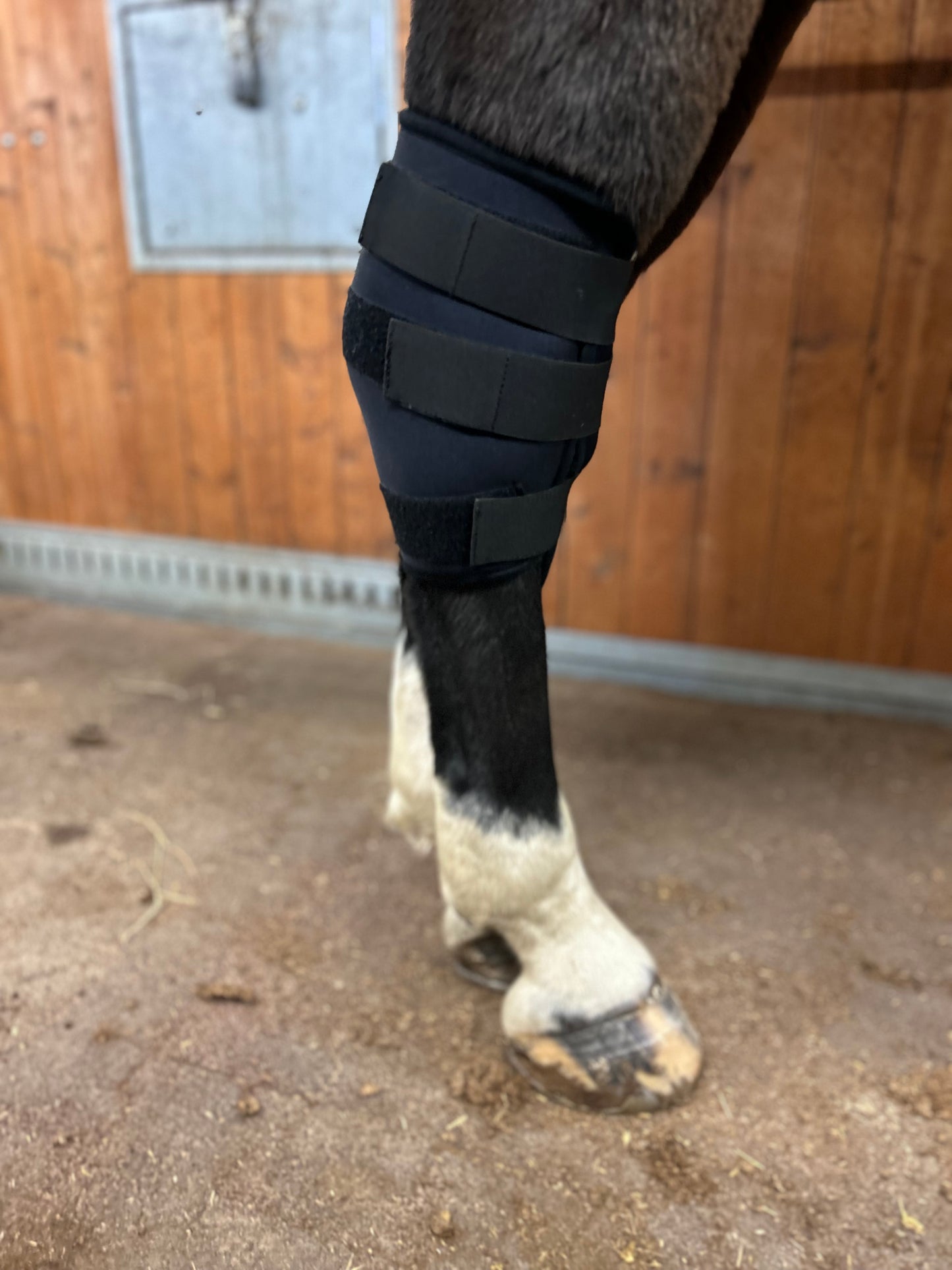 Wooler Hock protector