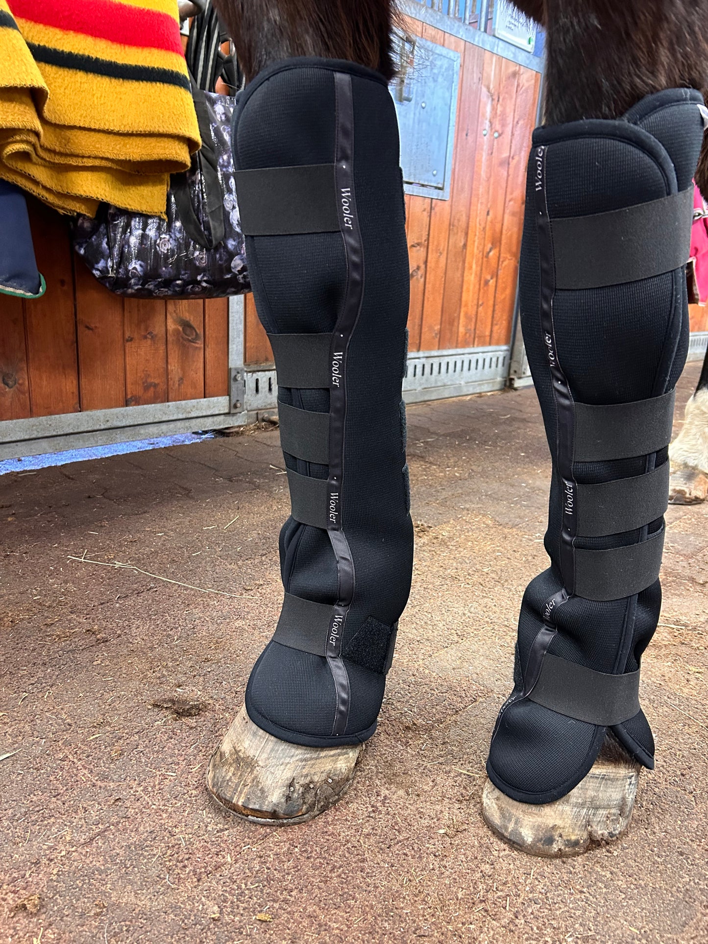 Wooler long stable boots