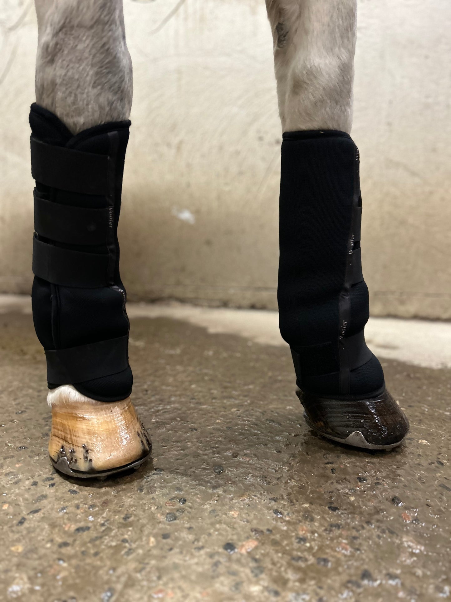 Wooler short stable boots