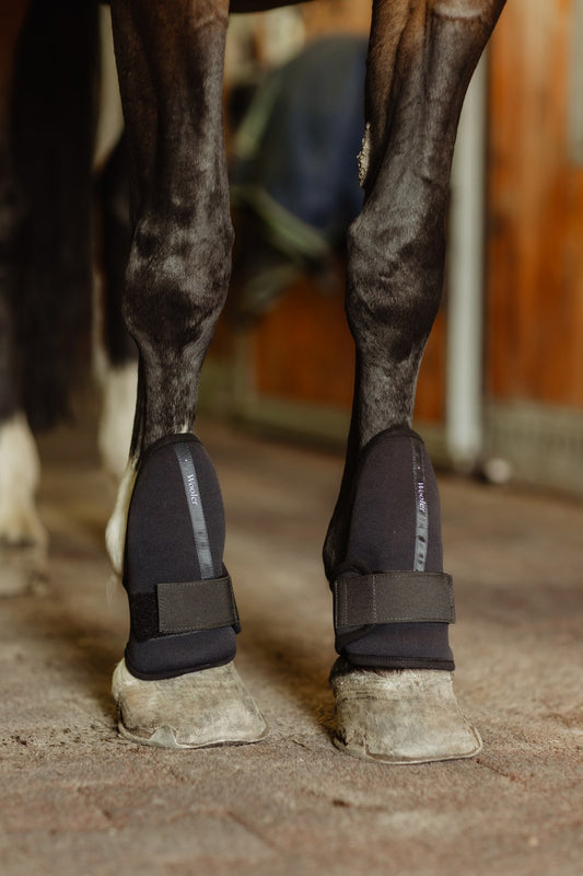 Fetlock/Coronet boots