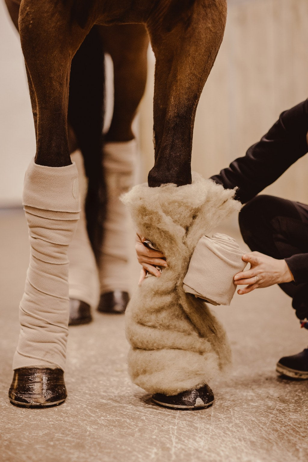 VILLAge raw wool wraps  for horses