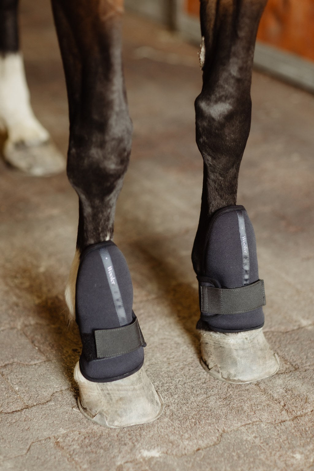 hevosen-etujalan-suojat