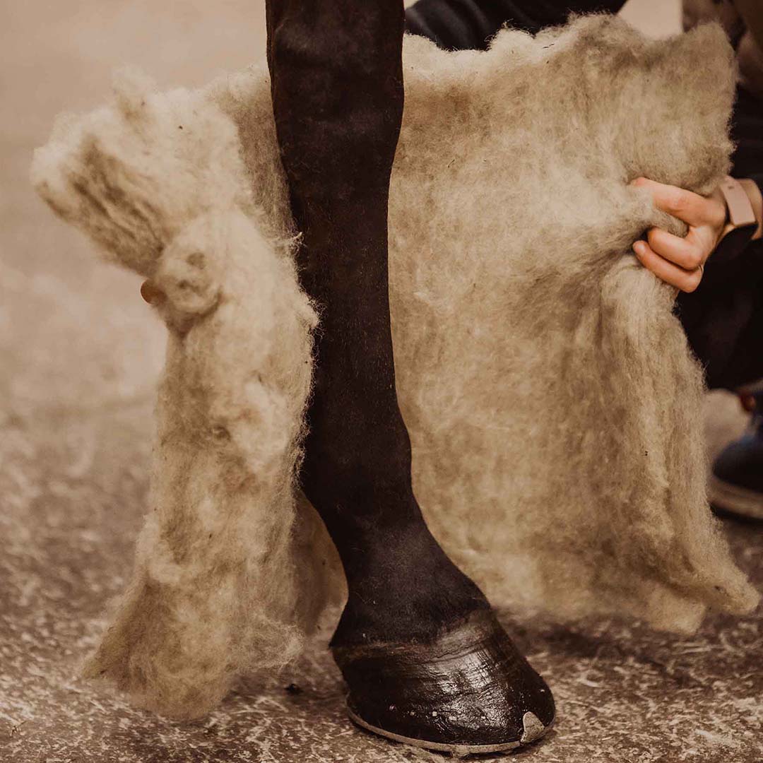 VILLAge raw wool wraps  for horses