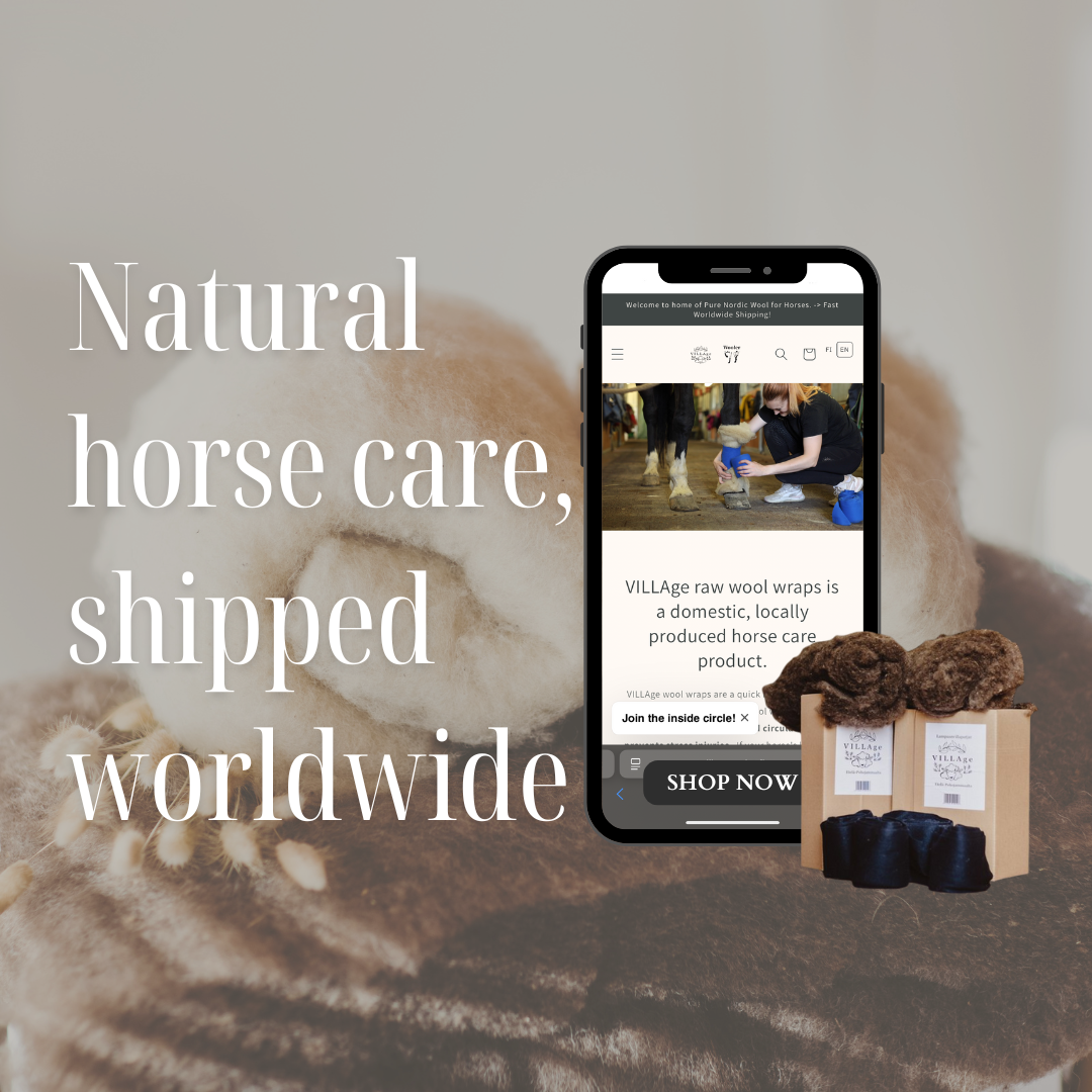 Where sheep's wool meet equine care