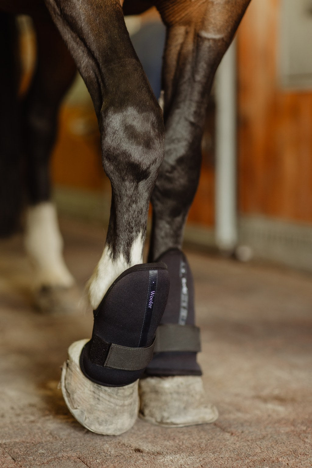 wooler-hevosen-suojat