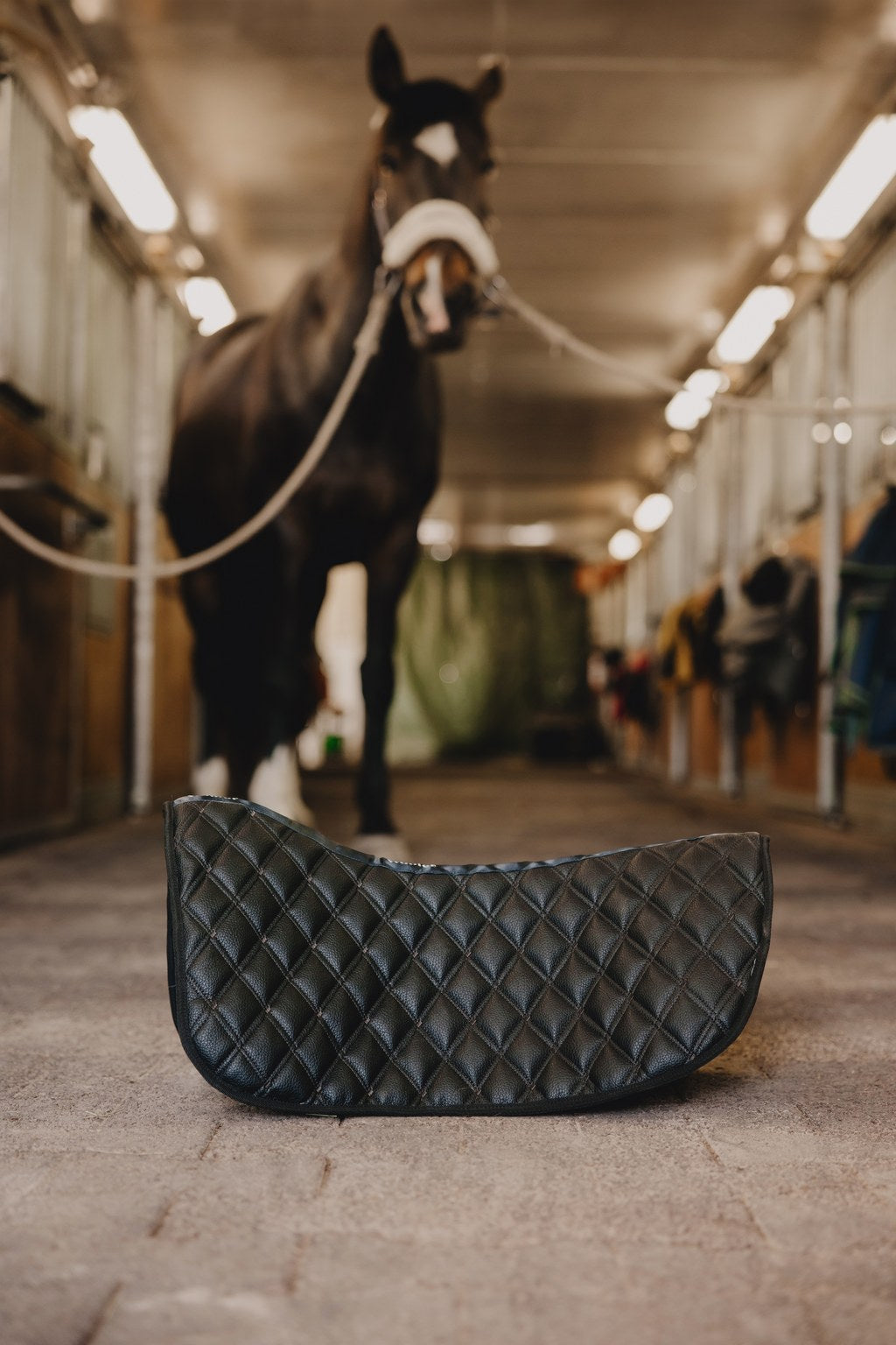 hevonen-tallinkaytavalla