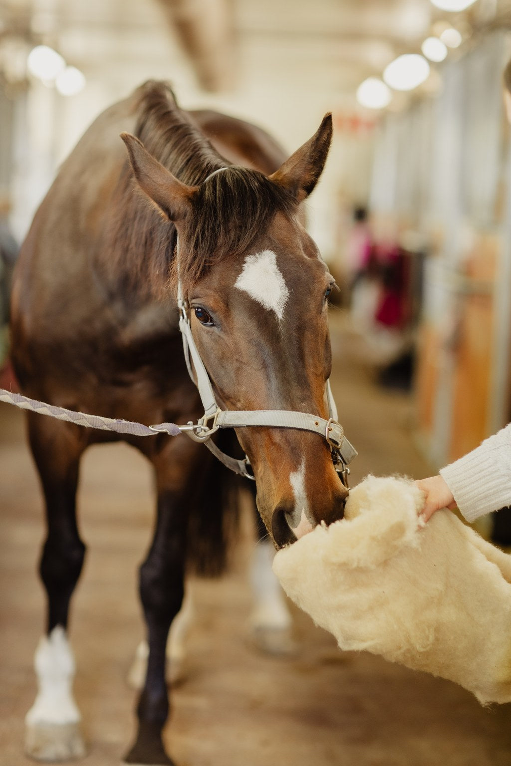 vaihda-villat-omiin-wooler-tuotteisiin